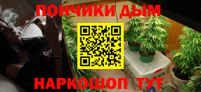 СК Кингисепп