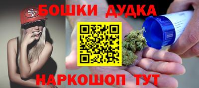 СК Кингисепп