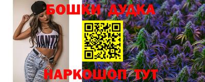 СК Кингисепп