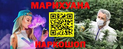 СК Кингисепп