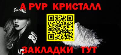 СК Кингисепп