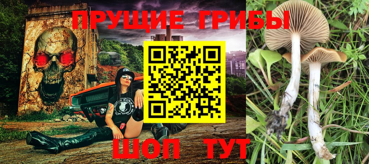 Псилоцибиновые грибы прущие грибы  Псилоцибиновые грибы мицелий  Вход с VPN  Великий Новгород 